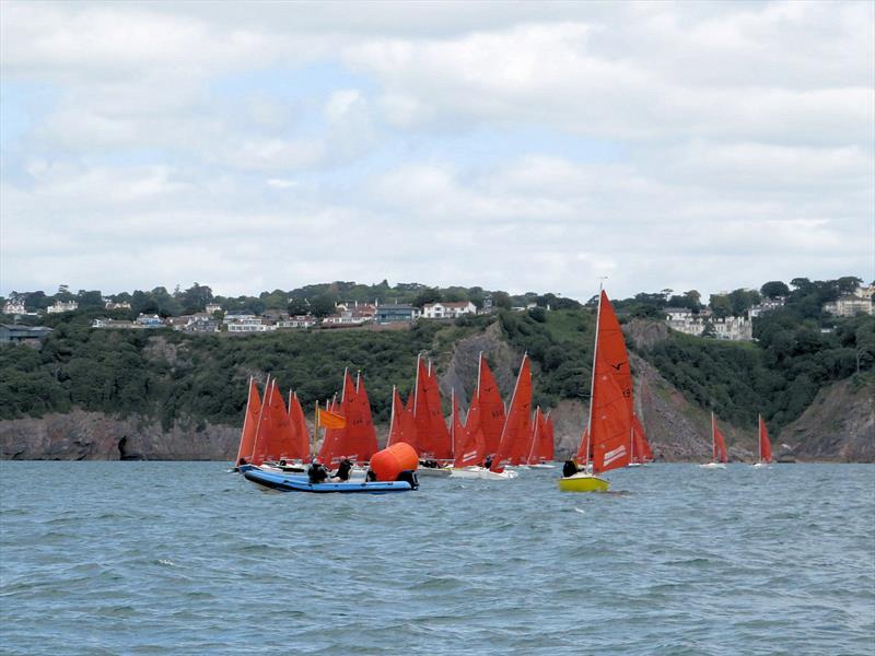 Squib Nationals 2025 at Torbay Day 1 photo copyright Nicola Davies taken at Royal Torbay Yacht Club and featuring the Squib class