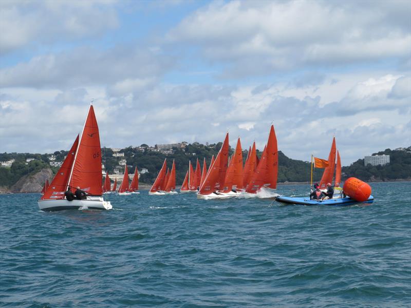 Squib Nationals 2025 at Torbay Day 4 - photo © Nicola Davies