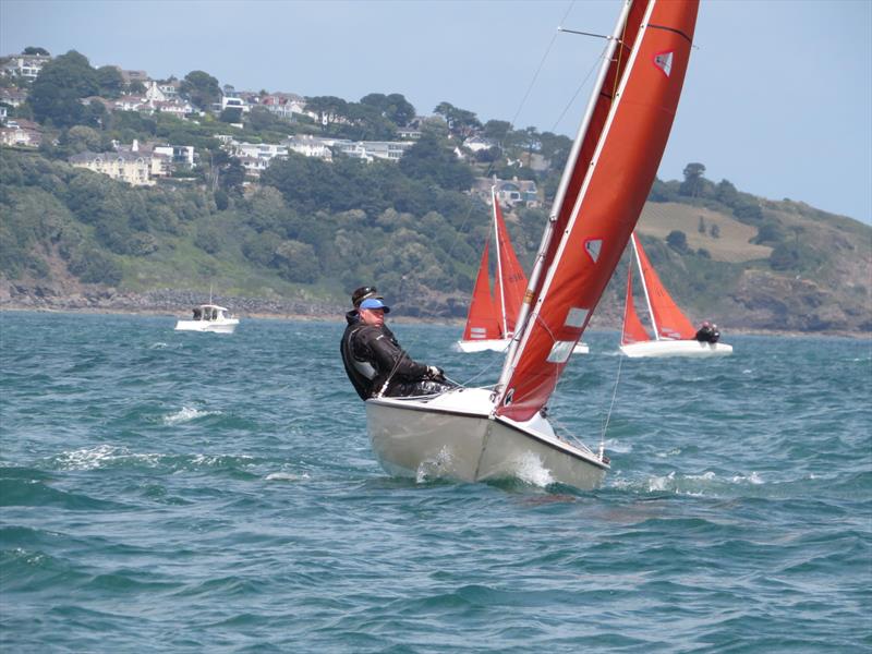 Squib Nationals 2025 at Torbay Day 4 - photo © Nicola Davies