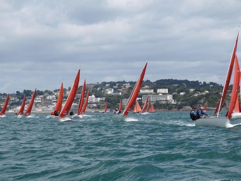 Squib Nationals 2025 at Torbay Day 4 - photo © Nicola Davies