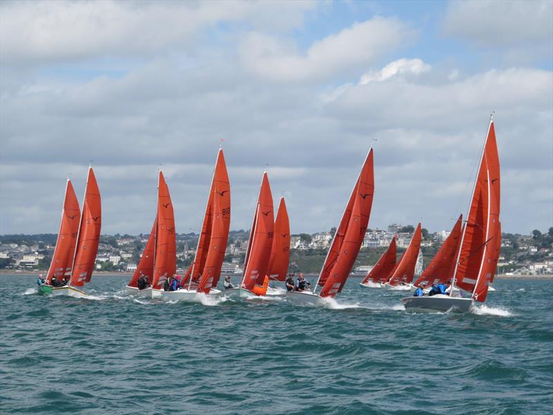 Squib Nationals 2025 at Torbay Day 4 photo copyright Nicola Davies taken at Royal Torbay Yacht Club and featuring the Squib class