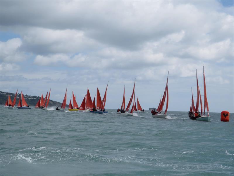 Squib Nationals 2025 at Torbay Day 4 photo copyright Nicola Davies taken at Royal Torbay Yacht Club and featuring the Squib class
