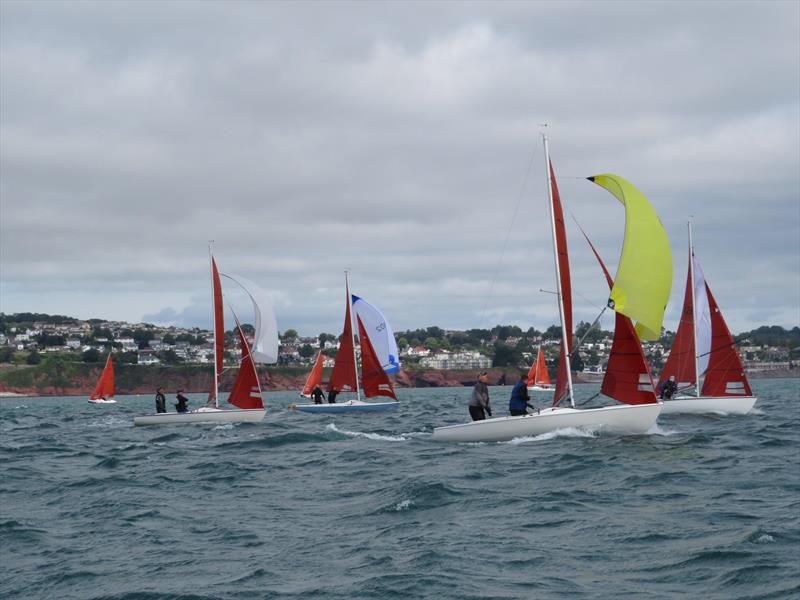 Squib Nationals 2025 at Torbay Day 5 photo copyright Nicola Davies taken at Royal Torbay Yacht Club and featuring the Squib class