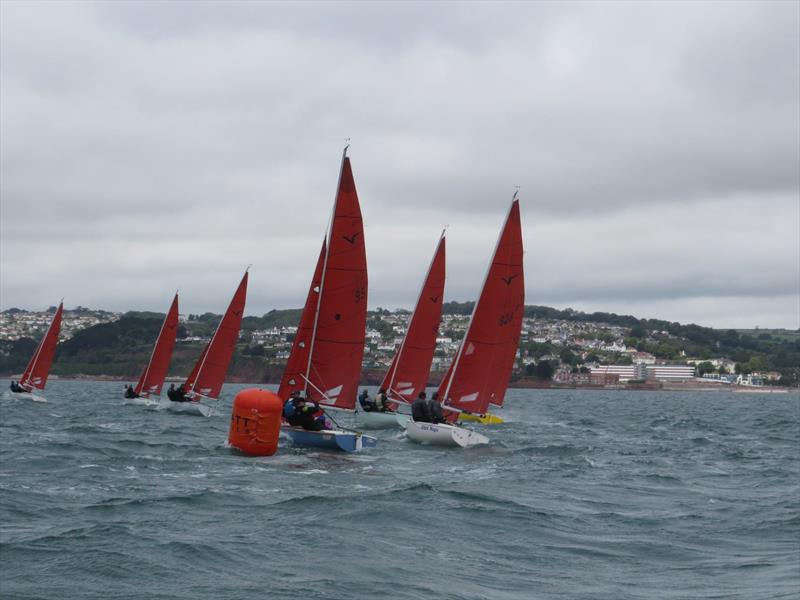 Squib Nationals 2025 at Torbay Day 5 photo copyright Nicola Davies taken at Royal Torbay Yacht Club and featuring the Squib class