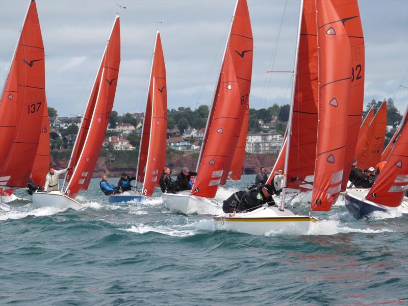Squib Nationals 2025 at Torbay Day 5 photo copyright Nicola Davies taken at Royal Torbay Yacht Club and featuring the Squib class