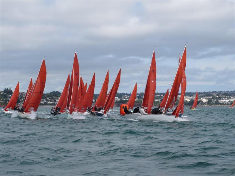Squib Nationals 2025 at Torbay Day 5 photo copyright Nicola Davies taken at Royal Torbay Yacht Club and featuring the Squib class