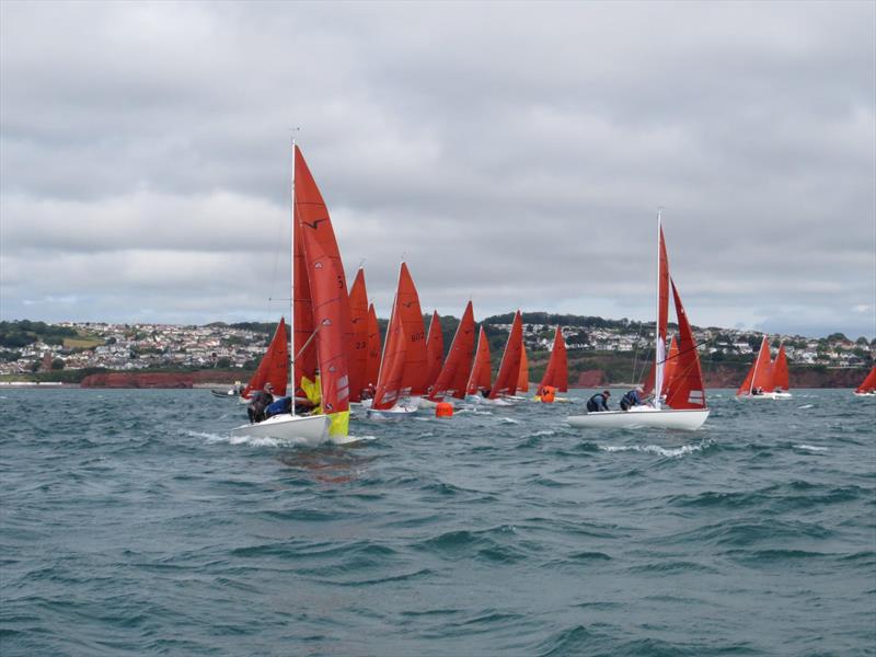 Squib Nationals 2025 at Torbay Day 5 photo copyright Nicola Davies taken at Royal Torbay Yacht Club and featuring the Squib class