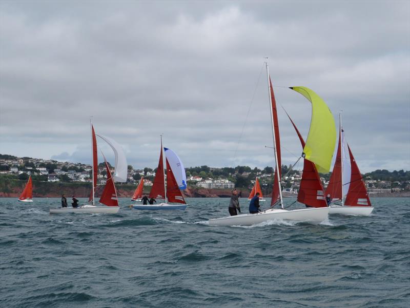 Squib Nationals 2025 at Torbay Day 5 photo copyright Nicola Davies taken at Royal Torbay Yacht Club and featuring the Squib class