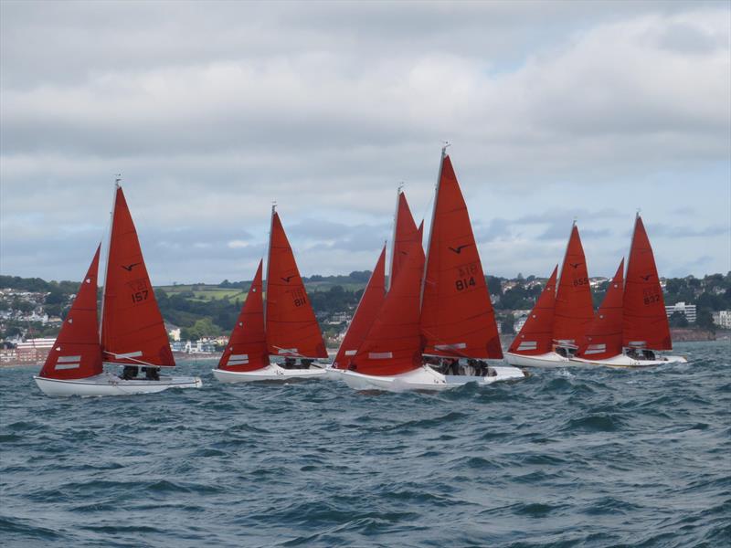 Squib Nationals 2025 at Torbay Day 5 photo copyright Nicola Davies taken at Royal Torbay Yacht Club and featuring the Squib class