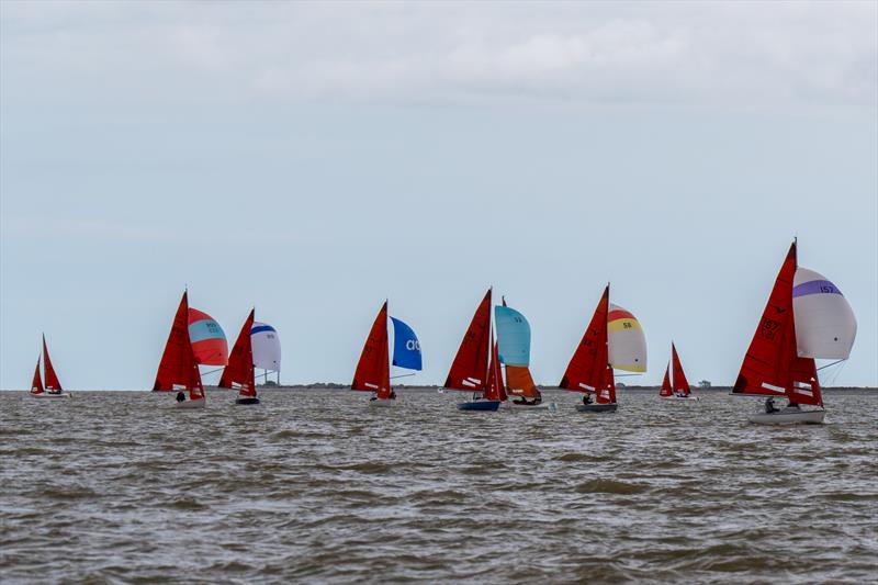 The Squib Class is again the largest, seen here on on Day 1 of Burnham Week 2025 photo copyright Petru Balau Sports Photography / sports.hub47.com taken at Royal Corinthian Yacht Club and featuring the Squib class
