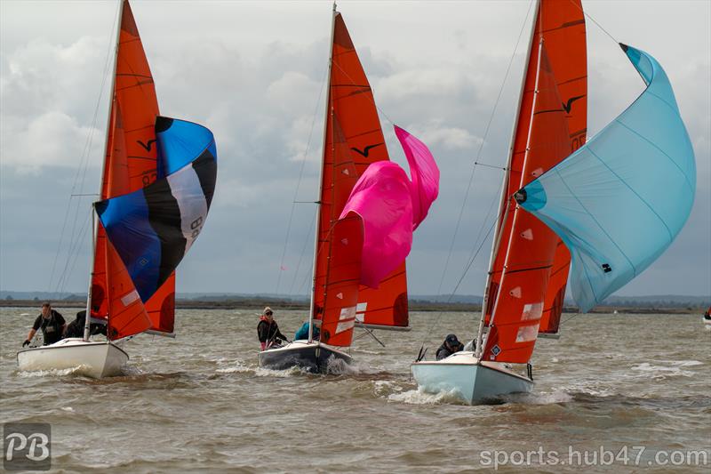 Spinnaker drop in the Squib fleet on day 5 of Burnham Week 2026 - photo © Petru Balau Sports Photography / sports.hub47.com
