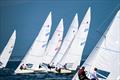 © International Star Class / Martina Orsini