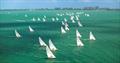 The Star fleet on Biscayne Bay at the 98th Bacardi Cup