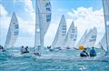 Scheidt and Kusznierewicz chasing the leader on day 2 of the 99th Bacardi Cup