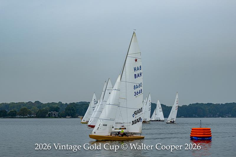 2026 Vintage Gold Cup - Day 1 - photo © Walter Cooper