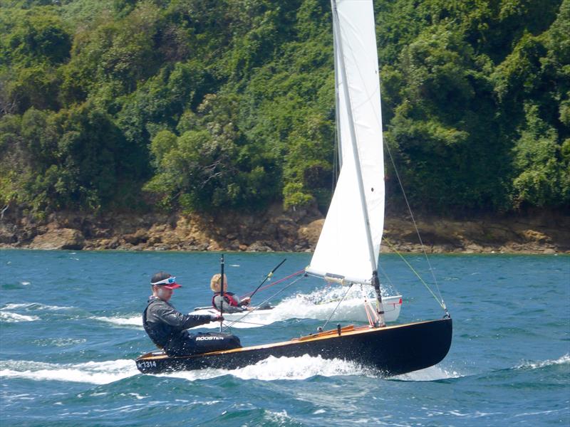 Interislander Optimist & Starling Regatta at Queen Charlotte Yacht Club photo copyright Jonny Fullerton taken at Queen Charlotte Yacht Club and featuring the Starling class