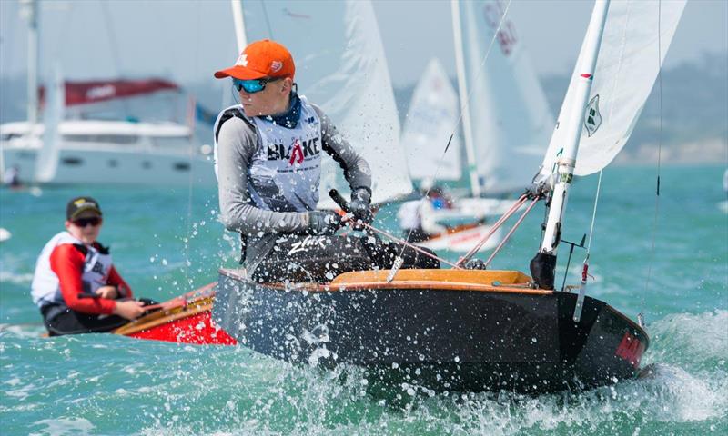 2018 Sir Peter Blake Regatta - Sunday  photo copyright Lissa Reyden taken at Torbay Sailing Club and featuring the Starling class