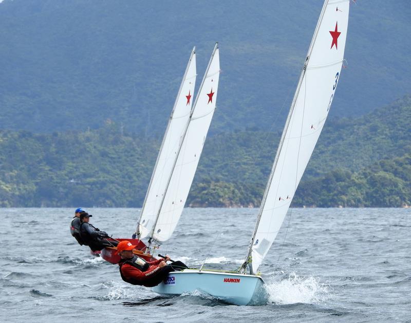 QCYC sailor River Hopkins - Port of Marlborough Starling Champs - Day 2, Queen Charlotte YC - February 24, 2019  photo copyright Christel Hopkins taken at Queen Charlotte Yacht Club and featuring the Starling class