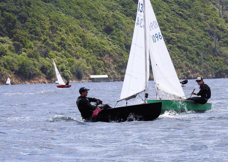 Harry Edwards and Jack Manning - Port of Marlborough Starlings - Day 2, Queen Charlotte YC - February 24, 2019  photo copyright Lamirana Photography taken at Queen Charlotte Yacht Club and featuring the Starling class