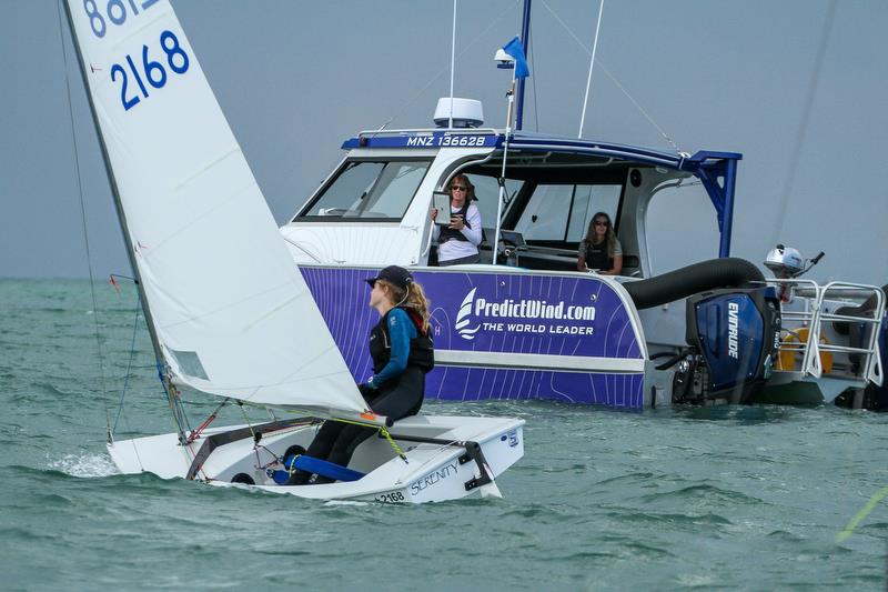 Starling - Predictwind Auckland Girls Championships - March 23, 2019 photo copyright Richard Gladwell taken at  and featuring the Starling class