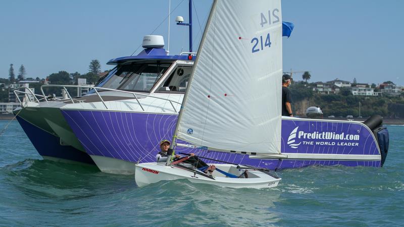 Starling - Predictwind Auckland Girls Championships - March 23, 2019 photo copyright Richard Gladwell taken at  and featuring the Starling class