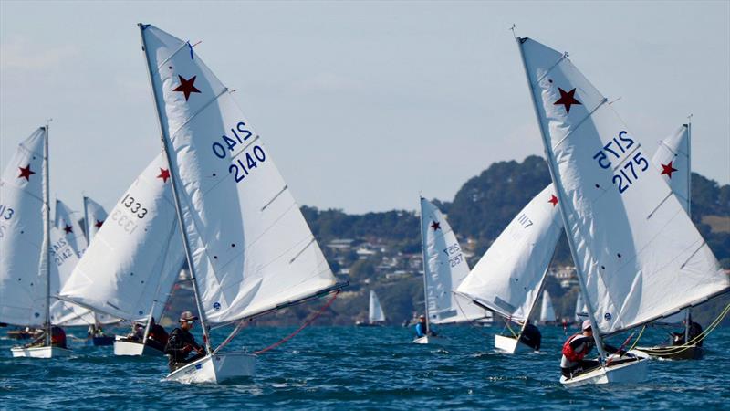 2019 Starling Nationals - Taipa Sailing Club, April 2019 photo copyright William Beauchamp taken at  and featuring the Starling class