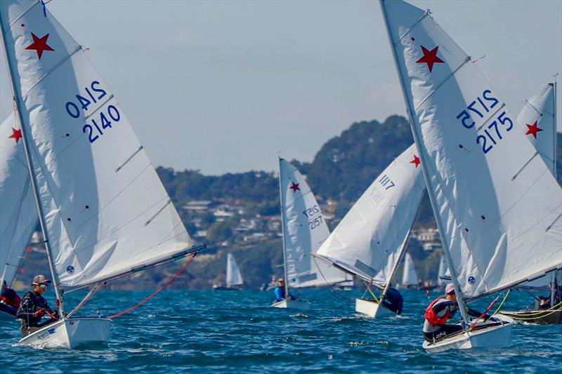 2019 Starling Nationals - Taipa Sailing Club - April 2019 photo copyright William Beauchamp taken at  and featuring the Starling class