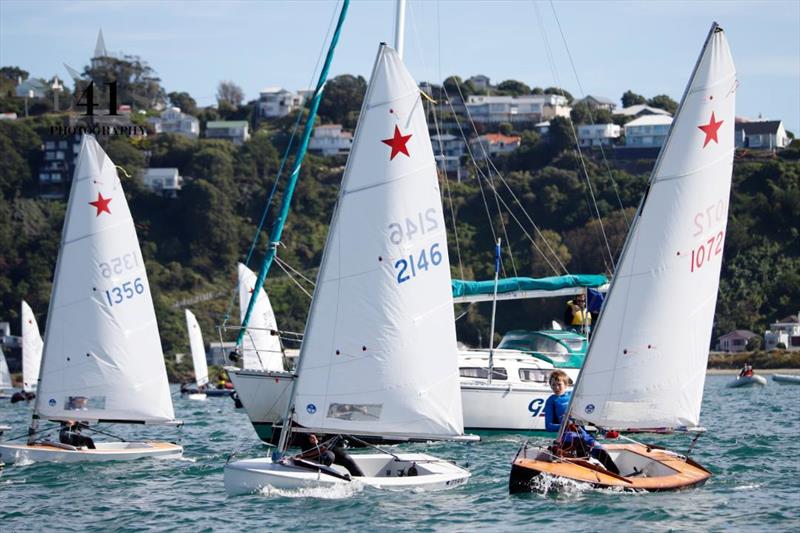 Racing in the 2026 Starling Nationals - Worser Bay Boating Club - Day 4 - April 2026 photo copyright Worser Bay BC taken at  and featuring the Starling class
