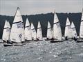 Tight racing - Hartley Boats Streaker Inlands at Carsington © Theo Holmes