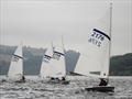 Sam McKay leads race 4 - Hartley Boats Streaker Inlands at Carsington © Theo Holmes