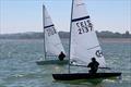 Simon Cory and Phil Halldron - Streaker North Sails Southern Paddle series at Downs