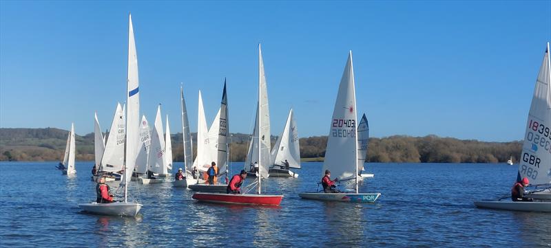 Icicle Series and Youth Icicle Series at Bough Beech photo copyright Sarah Seddon taken at Bough Beech Sailing Club and featuring the Streaker class
