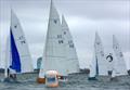 Itchenor Sailing Club Keelboat Championships &copy; Kirsty Bang