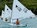 &copy; International Sunfish Class Association (ISCA)