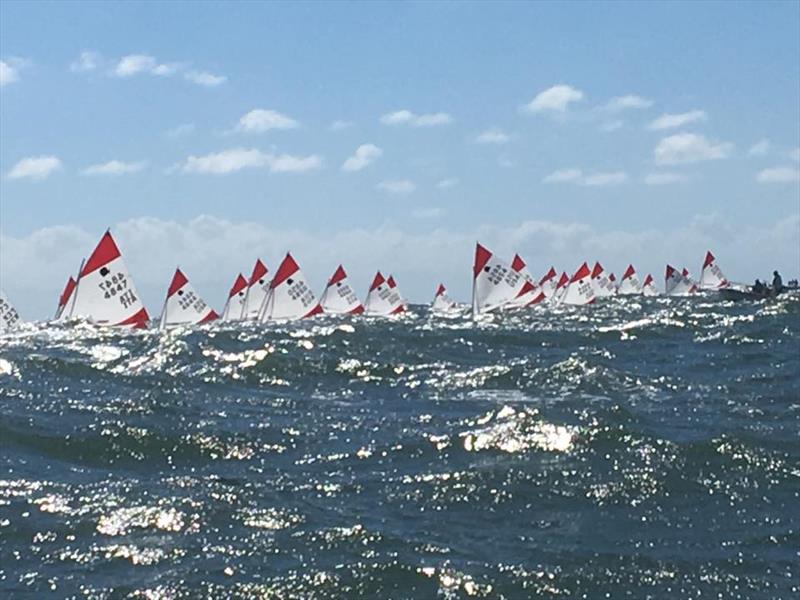 2018 ISCA World Championship - Day 2 photo copyright International Sunfish Class Association taken at  and featuring the Sunfish class