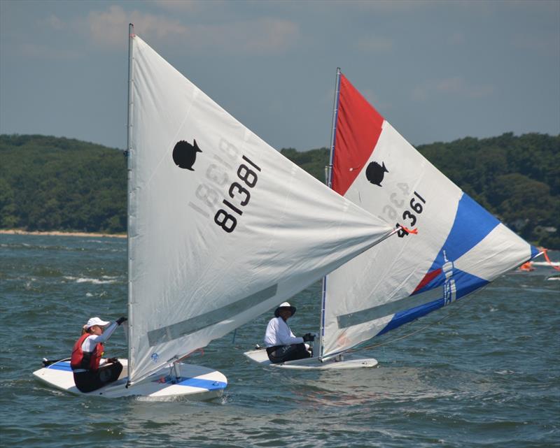 The World's Longest Sunfish Race photo copyright Capt Rob Lehnert taken at  and featuring the Sunfish class