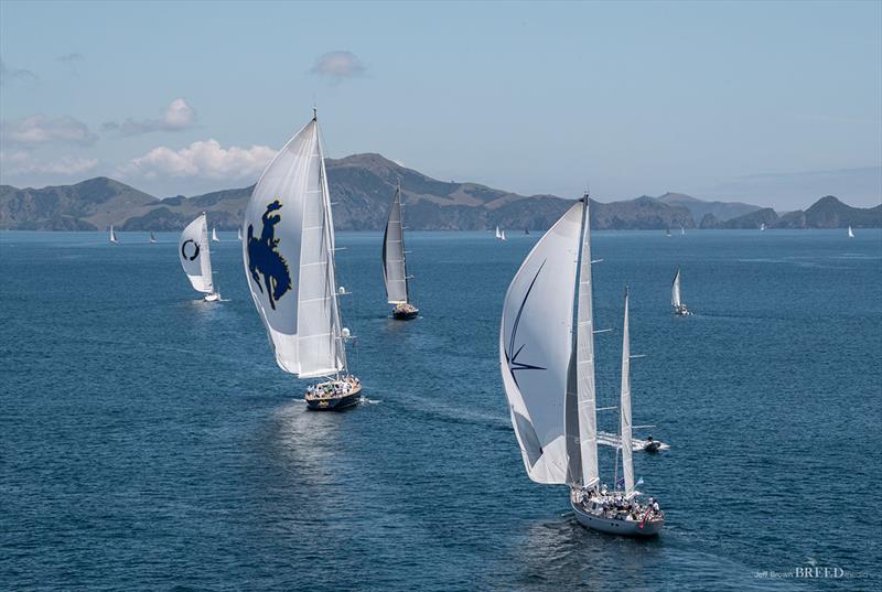 2018 NZ Millennium Cup - photo © Jeff Brown