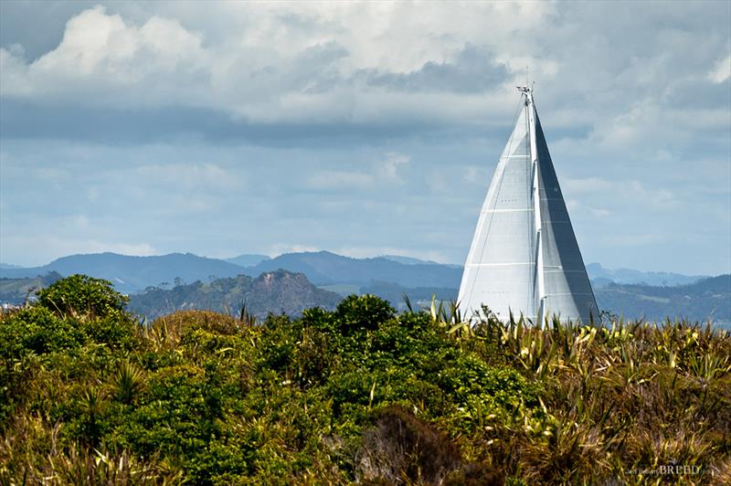 2018 NZ Millennium Cup - photo © Jeff Brown