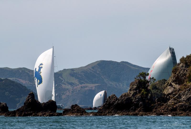 NZ Millennium Cup day 2 photo copyright Jeff Brown taken at  and featuring the Superyacht class