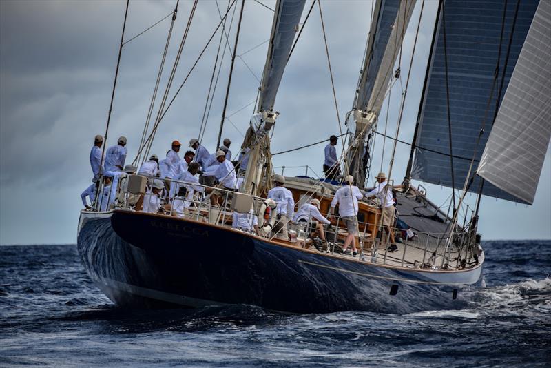The 142ft Frers ketch Rebecca - Superyacht Challenge Antigua 2018 photo copyright Ted Martin taken at  and featuring the Superyacht class