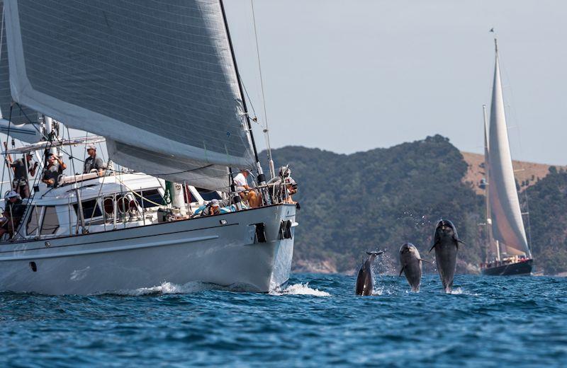 New Zealand Millennium Cup day 2 photo copyright Jeff Brown taken at  and featuring the Superyacht class