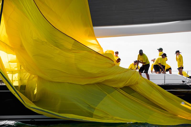 Millennium Cup 2019 - Bay of Islands, NZ - January 2019 photo copyright Jeff Brown taken at  and featuring the Superyacht class