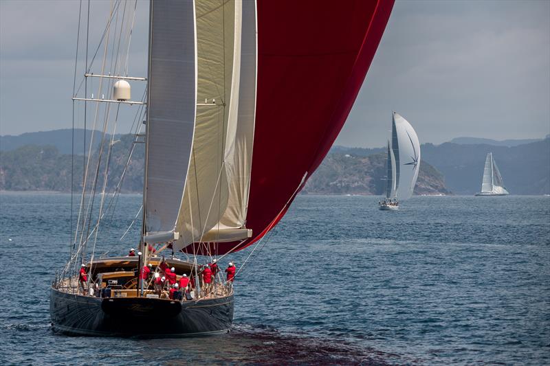 Millennium Cup 2019 - Bay of Islands, NZ - January 2019 - photo © Jeff Brown