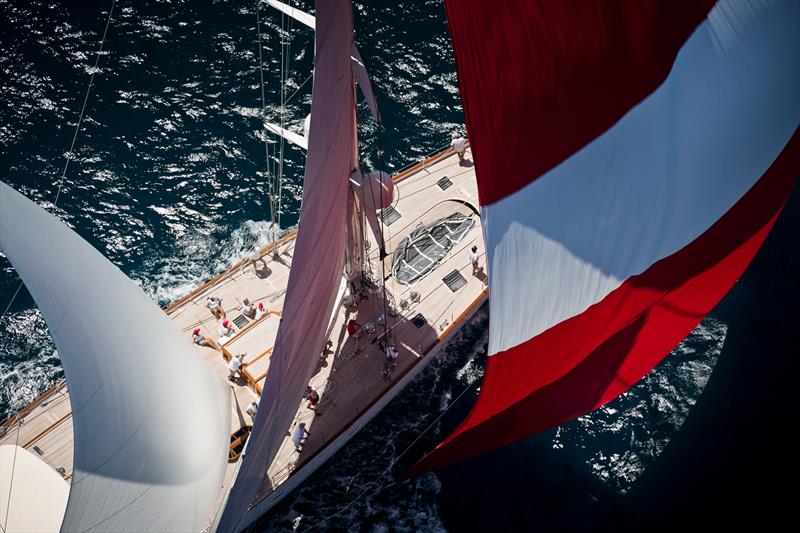 Millennium Cup Regatta - Bay of Islands - February 1, 2020 photo copyright Jeff Brown taken at Bay of Islands Yacht Club and featuring the Superyacht class