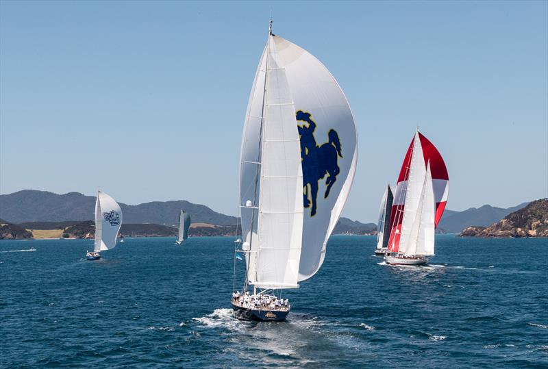 Millennium Cup Regatta - Bay of Islands - February 1, 2020 - photo © Jeff Brown