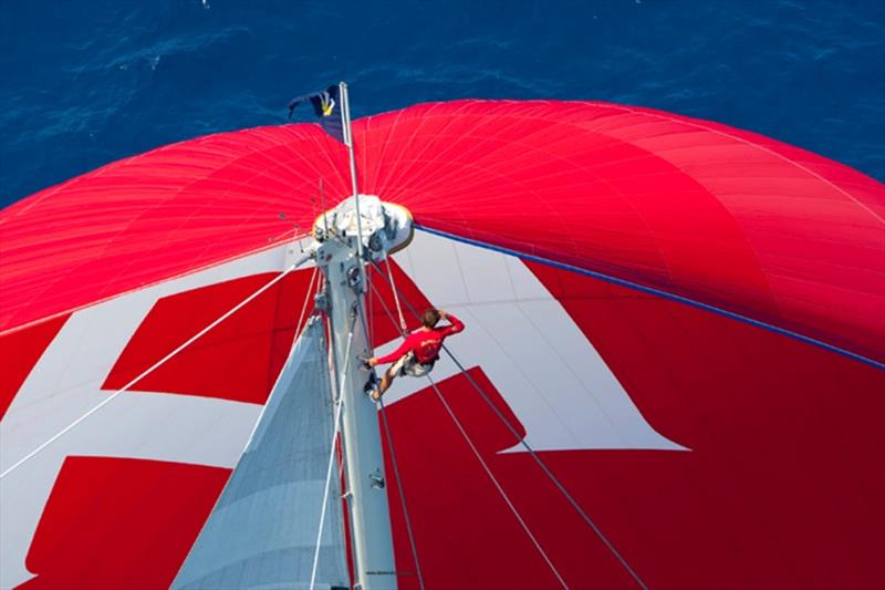 182ft (56m) schooner Adela - 2019 Superyacht Challenge Antigua - photo © Claire Matches / www.clairematches.com