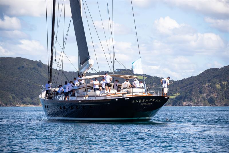 Final day 2021 Millennium Cup - Bay of Islands - March 2021 photo copyright Jeff Brown taken at Bay of Islands Yacht Club and featuring the Superyacht class