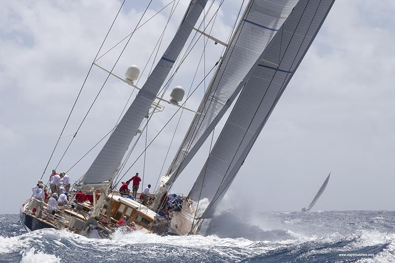 2022 Superyacht Challenge Antigua wraps up in Nelson's Dockyard photo copyright Claire Matches / www.clairematches.com taken at  and featuring the Superyacht class