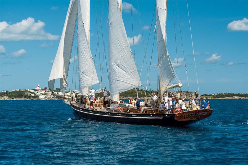 Division winner: Spirit of Bermuda (Spirit of Tradition) - 2022 Newport Bermuda Race - photo © Chris Burville