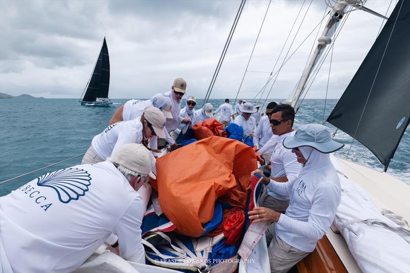 Rebecca - Superyacht Challenge Antigua 2026 Day 2 - photo © Fraser Edwards Photography